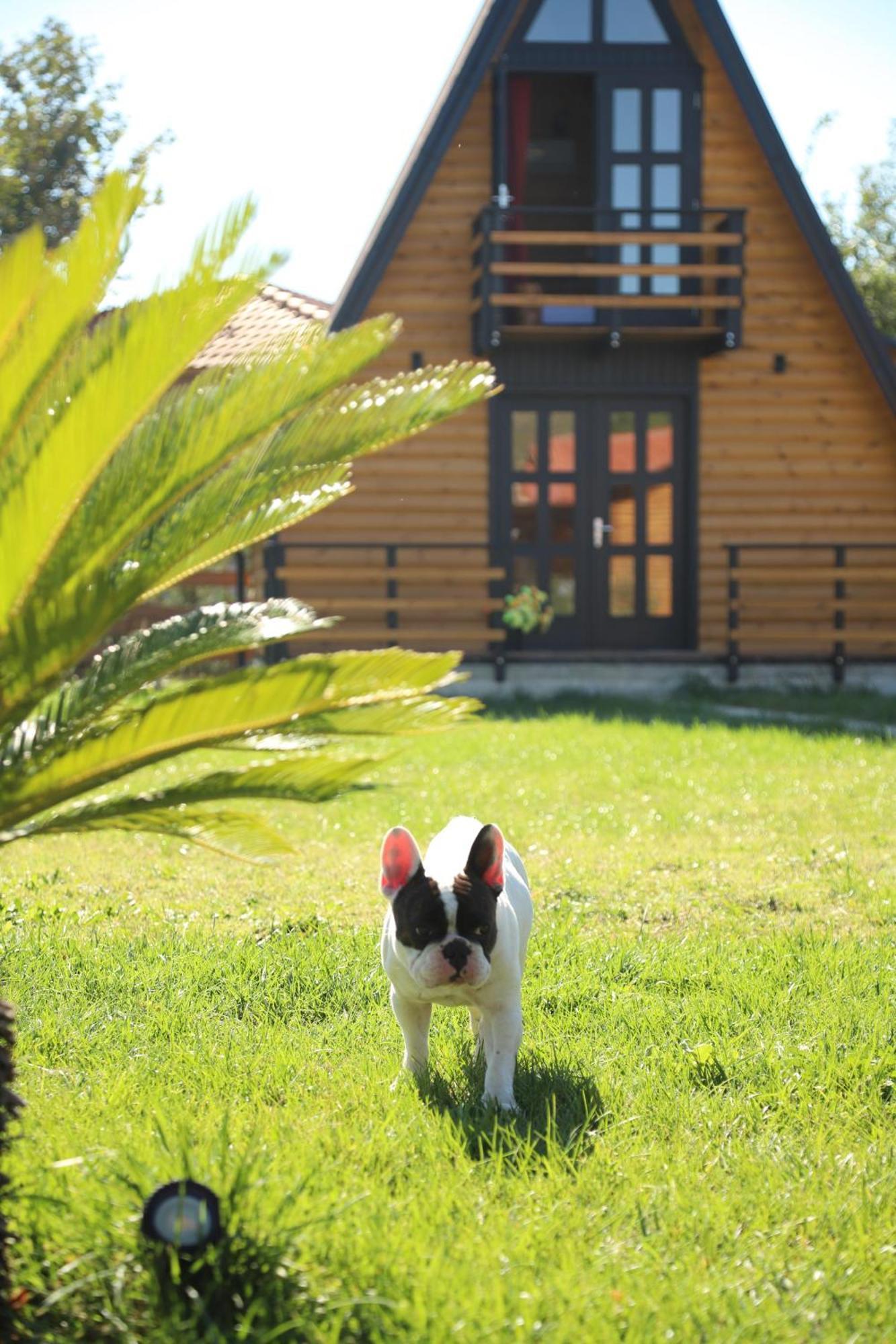 Villa Sancho Farm Albania Memaliaj Exterior foto