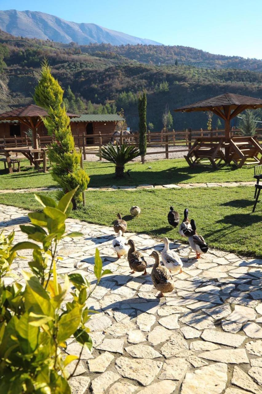 Villa Sancho Farm Albania Memaliaj Exterior foto